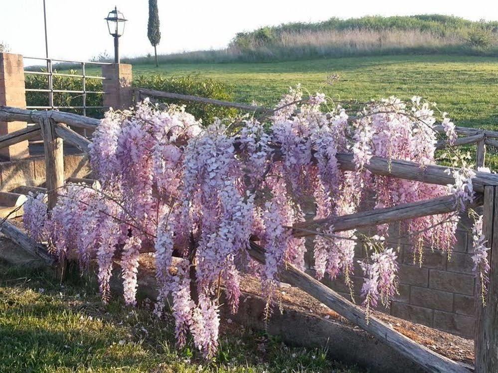 Agriturismo Ragoncino ラヤーティコ エクステリア 写真